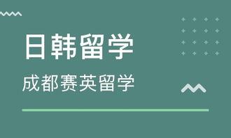 成都賽(sai)英(ying)教育咨詢(xun) 提(ti)升(sheng)教育規劃(hua)的專(zhuan)業夥(huo)伴
